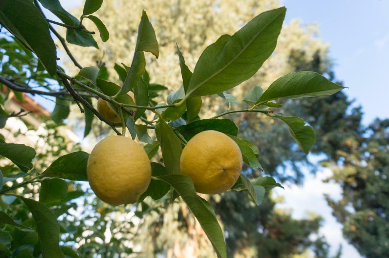 Glyfada Central Dış mekan fotoğraf